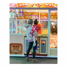 Load image into Gallery viewer, Bryce Hudson Hoodie