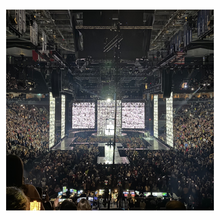 Load image into Gallery viewer, Queen of Pop