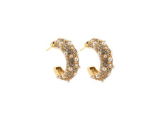 Load image into Gallery viewer, A Dash of Class Earrings
