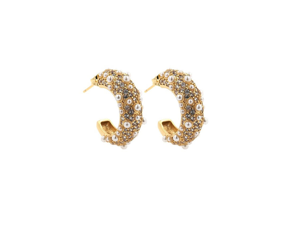 A Dash of Class Earrings