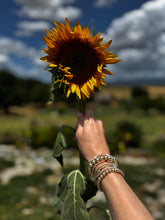 Load image into Gallery viewer, Italy Inspired
