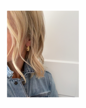 Load image into Gallery viewer, Frosted Earrings
