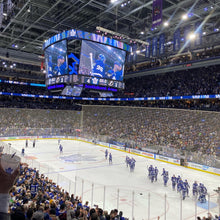 Load image into Gallery viewer, Go Leafs Go
